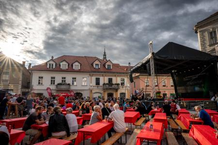 Dnevi narodnih noš in oblačilne dediščine v Kamniku (50)